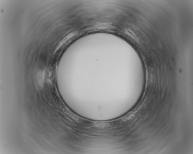 X0000058131258200510171327