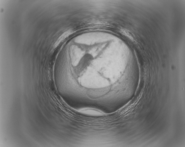 X0000058131259200510171327