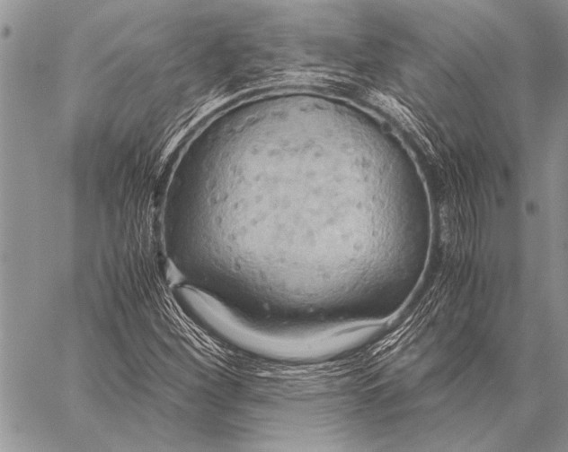 X0000058131260200510171327