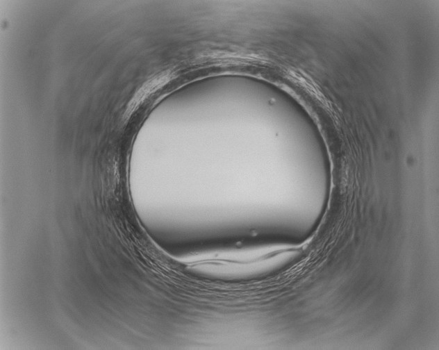 X0000058131261200510171327