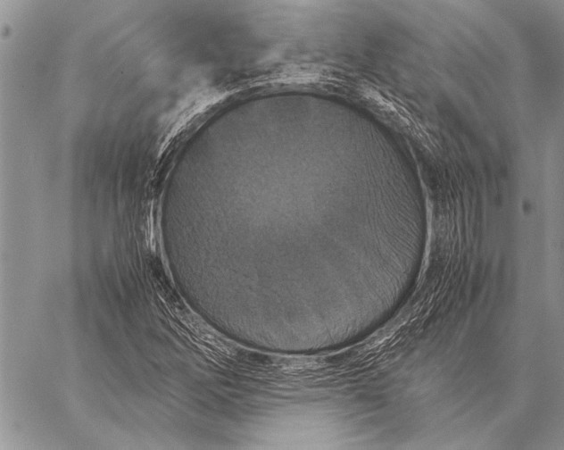 X0000058131262200510171327