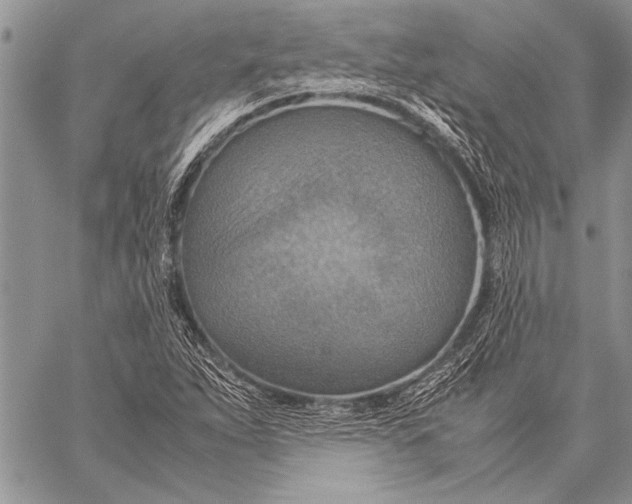 X0000058131263200510171327