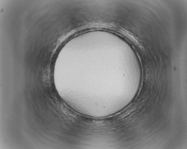 X0000058131264200510171327