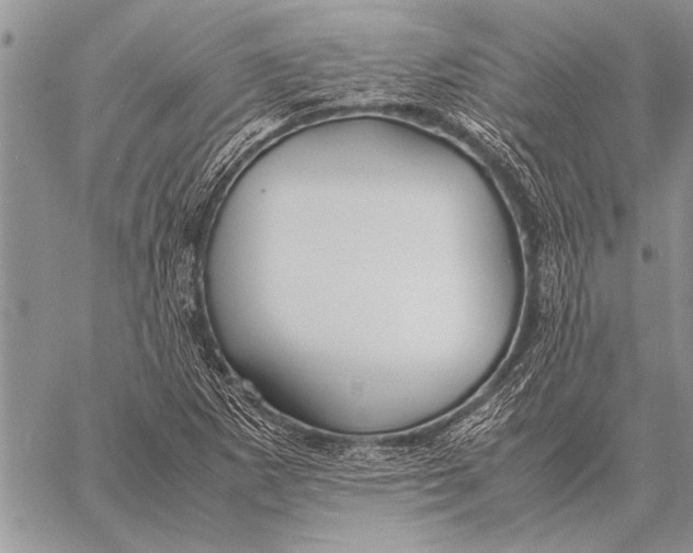 X0000058131265200510171327