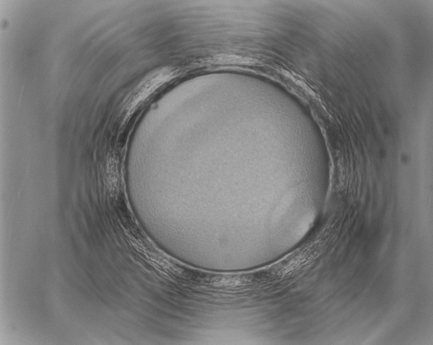 X0000058131266200510171327