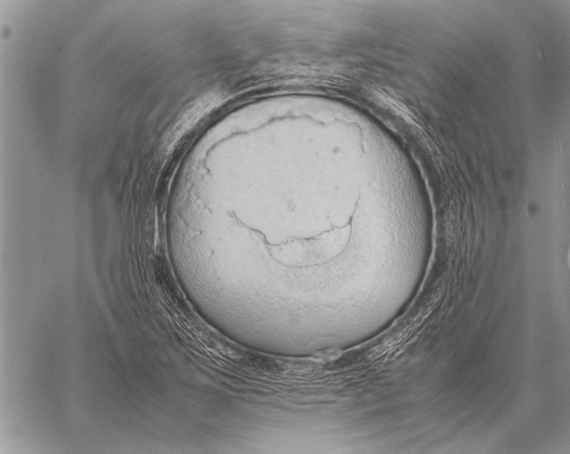 X0000058131267200510171327