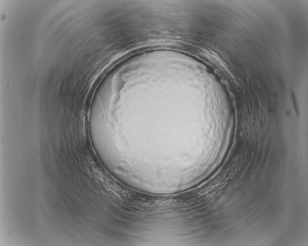 X0000058131268200510171327