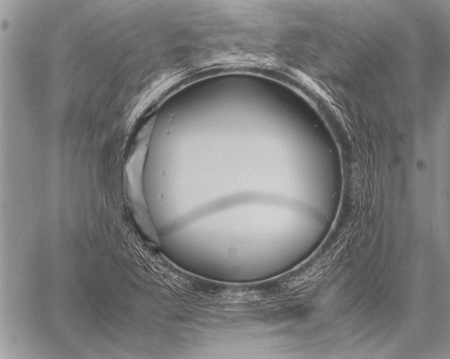 X0000058131269200510171327