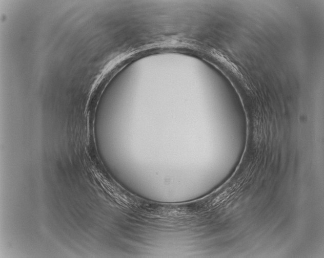 X0000058131270200510171327