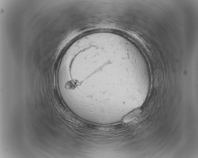 X0000058131271200510171327