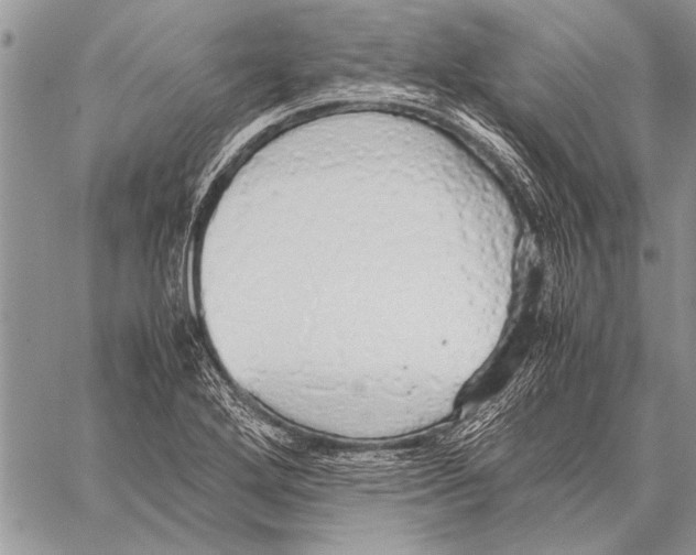 X0000058131272200510171327