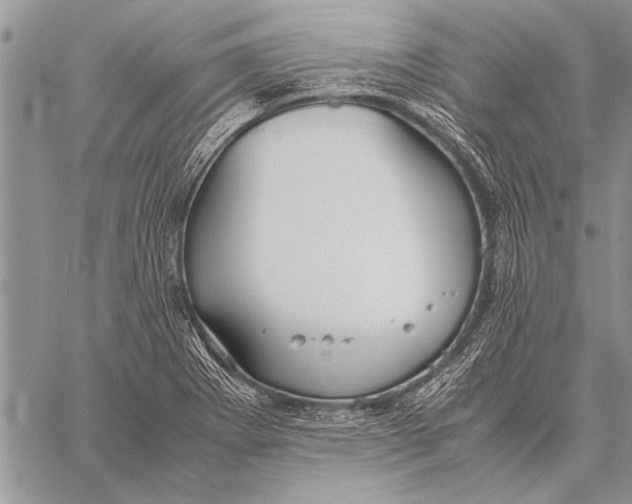 X0000058131273200510171327