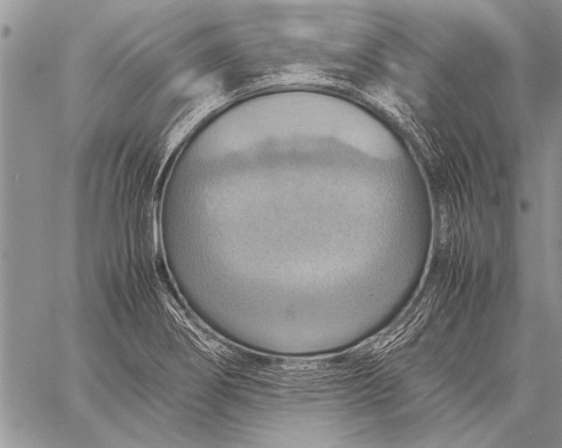 X0000058131274200510171327