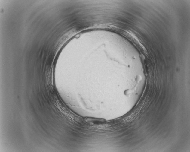 X0000058131276200510171327