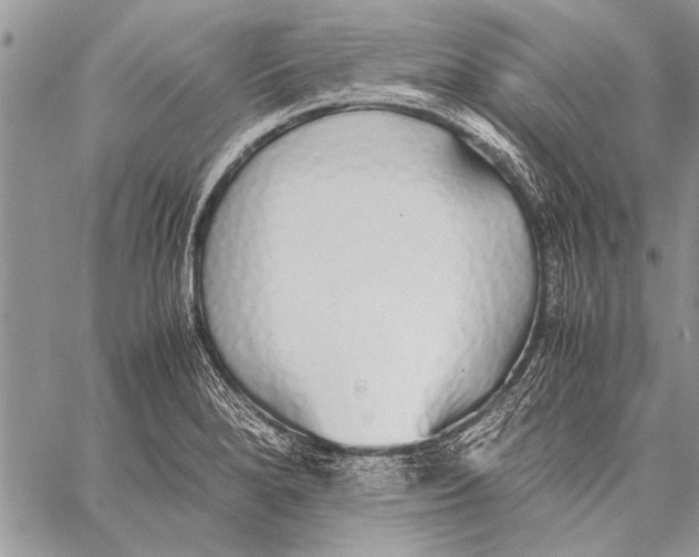 X0000058131280200510171327