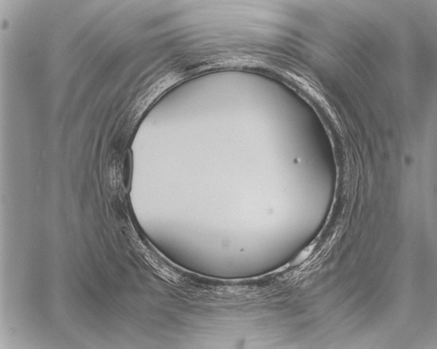 X0000058131281200510171327