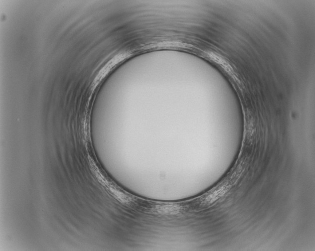 X0000058131282200510171327