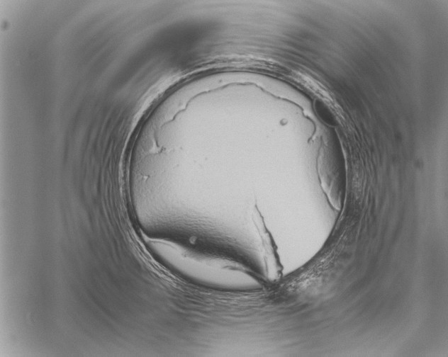 X0000058131283200510171327