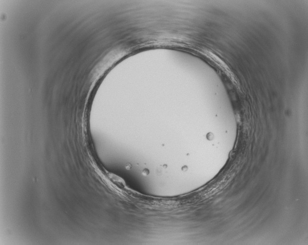 X0000058131285200510171327