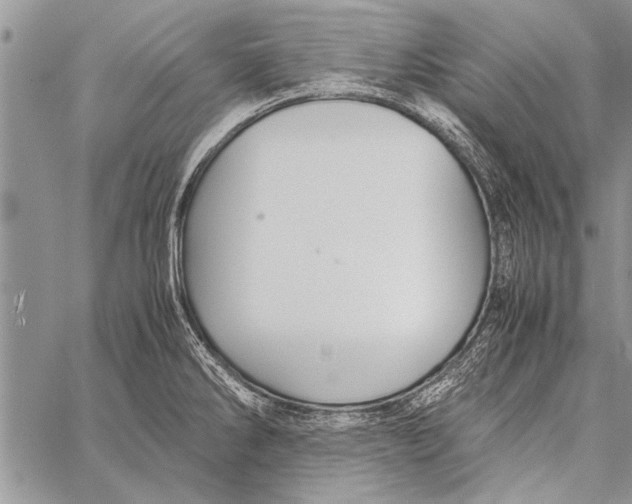 X0000058131286200510171327