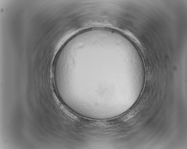 X0000058131287200510171326