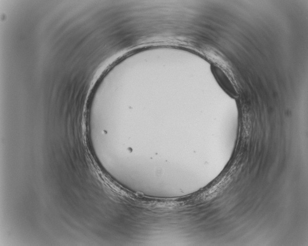 X0000058131288200510171326