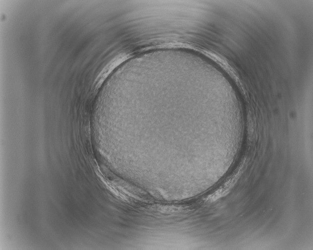 X0000058131289200510171326