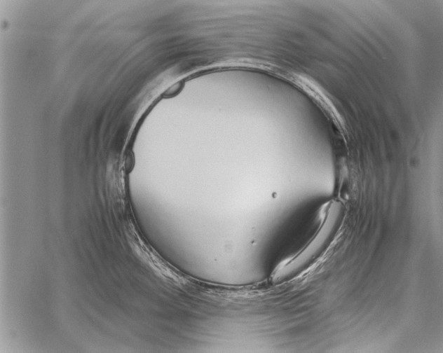 X0000058131292200510171326