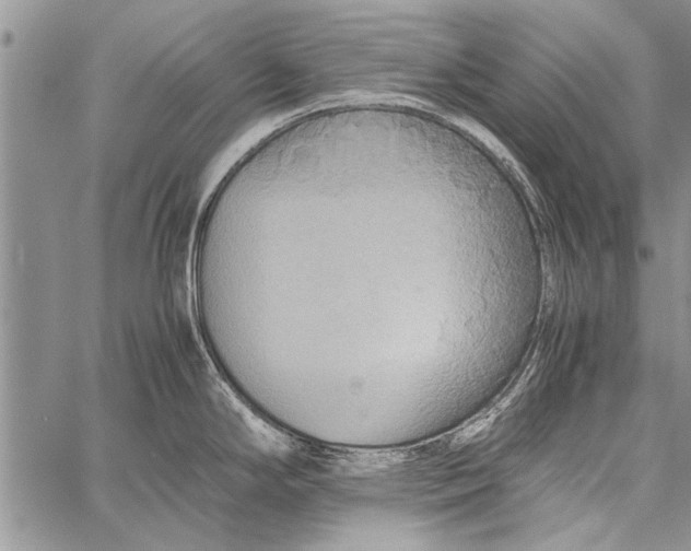 X0000058131294200510171326