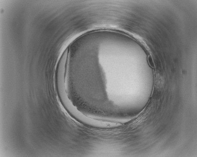 X0000058131295200510171326