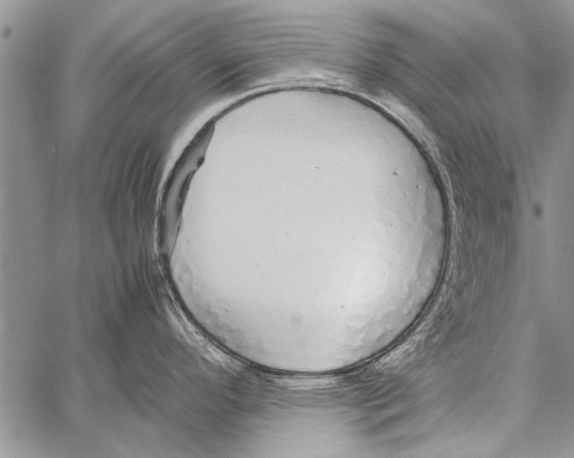 X0000058131296200510171326