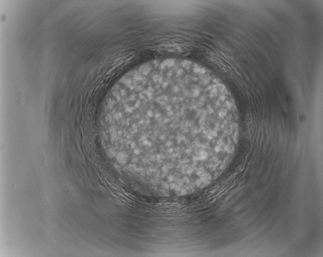 X0000058131297200510171326