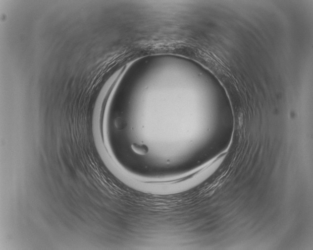 X0000058131300200510171326