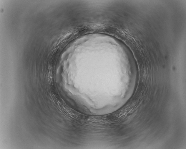 X0000058131301200510171326