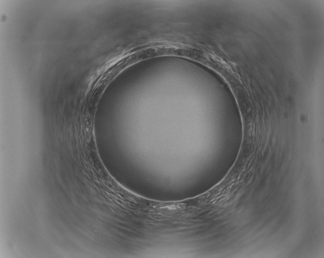 X0000058131303200510171326