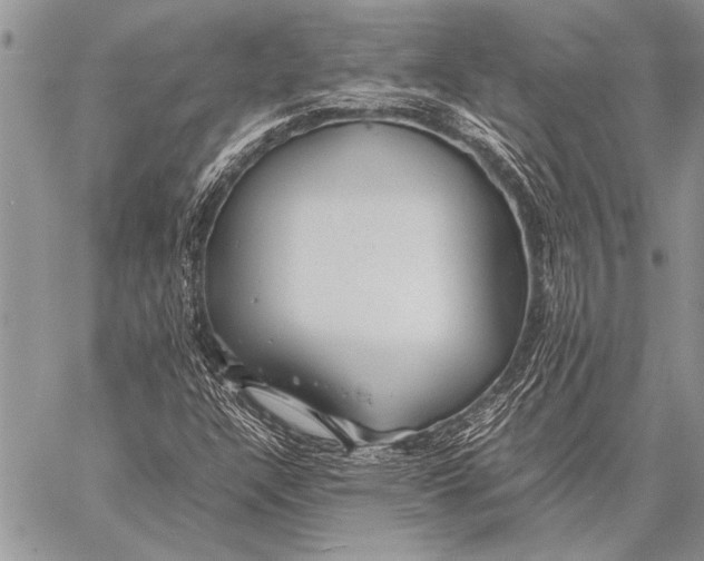 X0000058131304200510171326