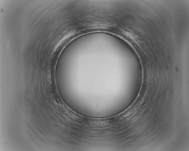 X0000058131307200510171326