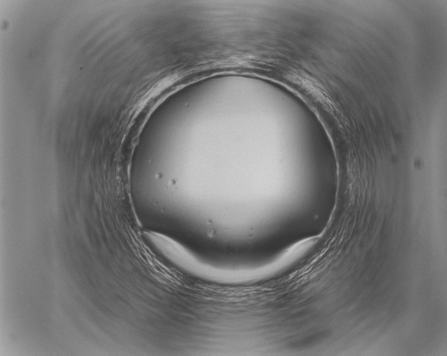 X0000058131308200510171326