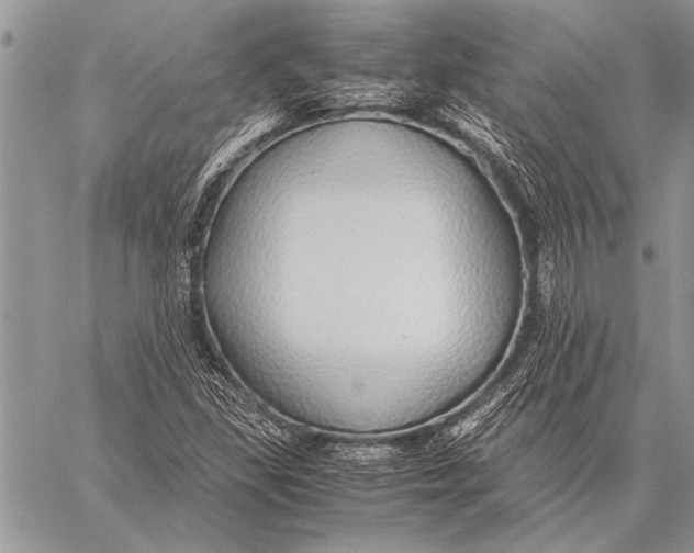 X0000058131309200510171326