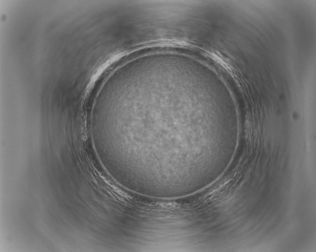 X0000058131310200510171326