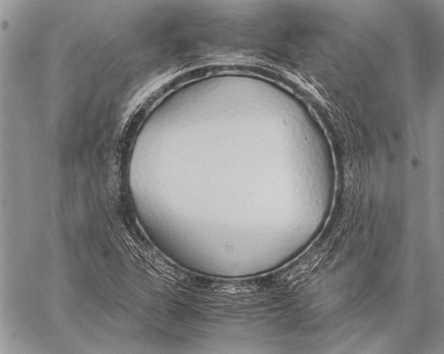 X0000058131311200510171326