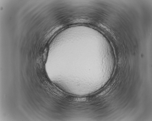 X0000058131313200510171326