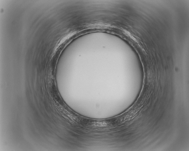 X0000058131315200510171326