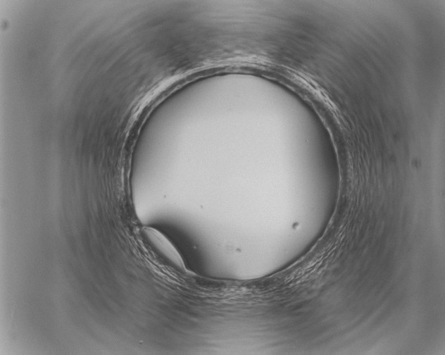 X0000058131316200510171326