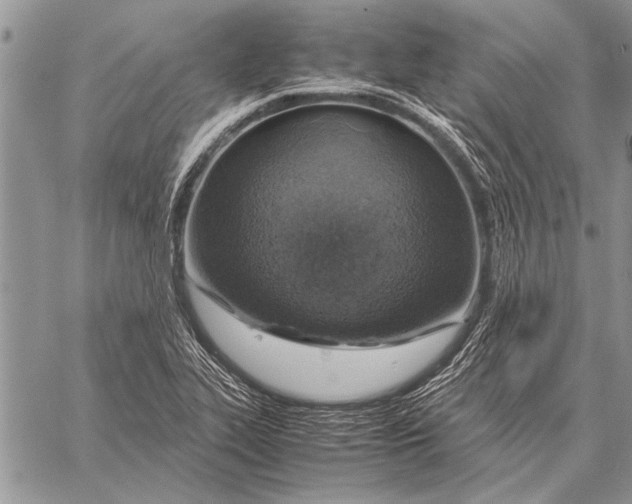 X0000058131319200510171326