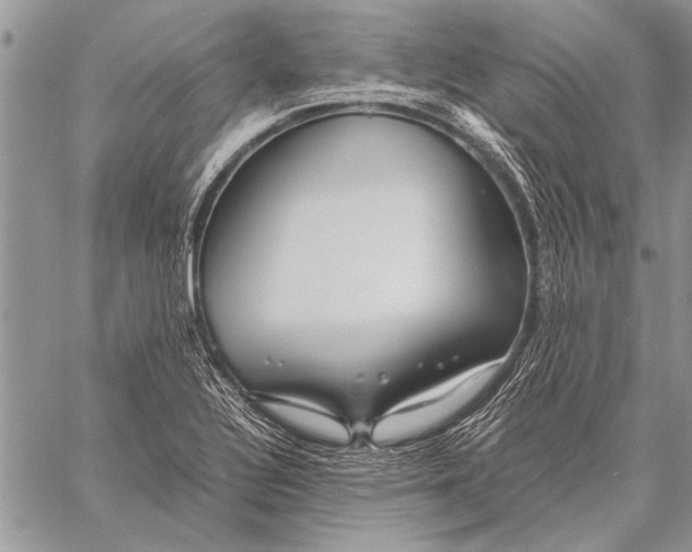 X0000058131320200510171326