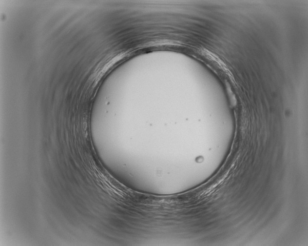 X0000058131321200510171326