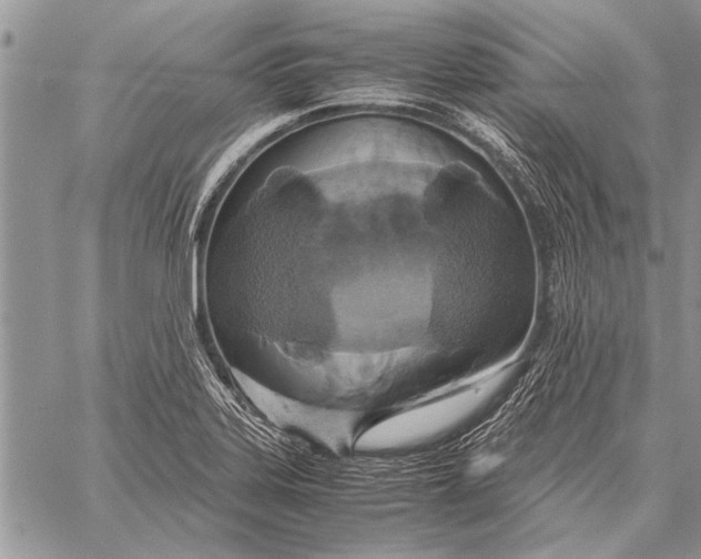 X0000058131323200510171326