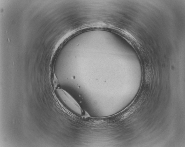 X0000058131326200510171326