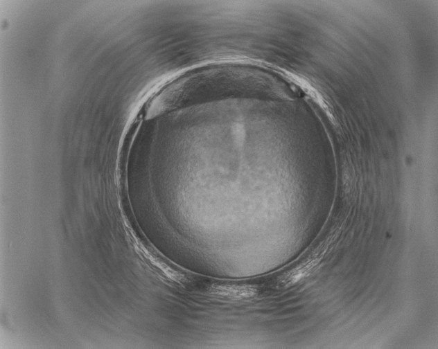 X0000058131327200510171326